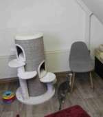 Unsere Räume Svg+xml,%3Csvg%20xmlns%3D%22http%3A%2F%2Fwww.w3